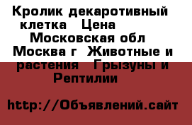 Кролик декаротивный  клетка › Цена ­ 1 000 - Московская обл., Москва г. Животные и растения » Грызуны и Рептилии   